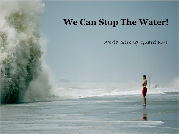 World Strong Guard